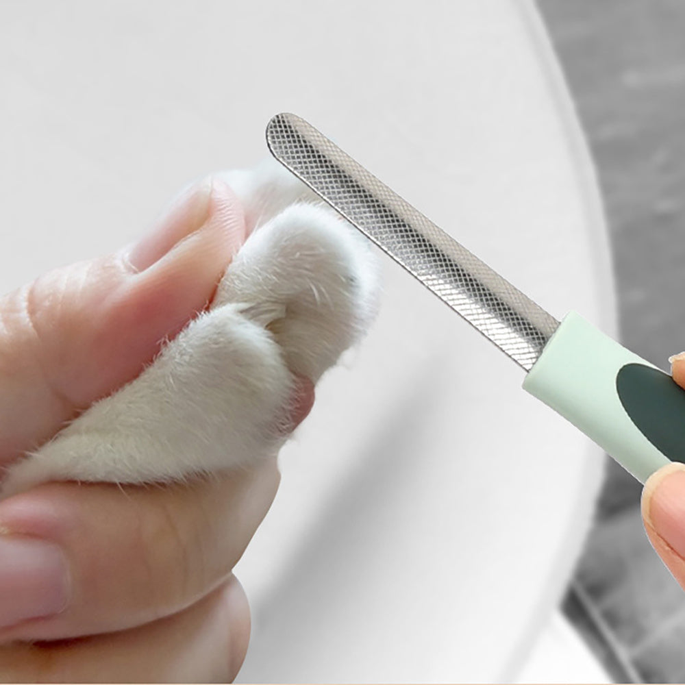 Dog Clippers, Professional Dog Grooming Kit.
